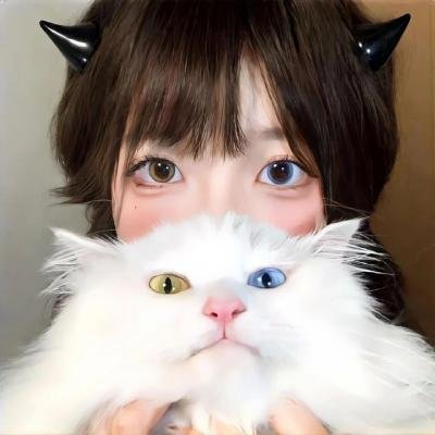 离婚官司