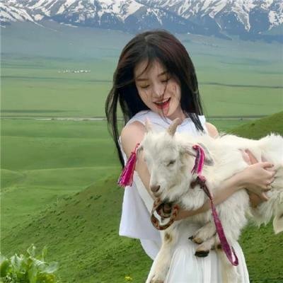 新警事3之危险旅程